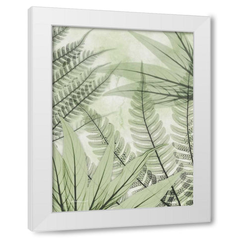 Prehistoric Awakening White Modern Wood Framed Art Print by Koetsier, Albert