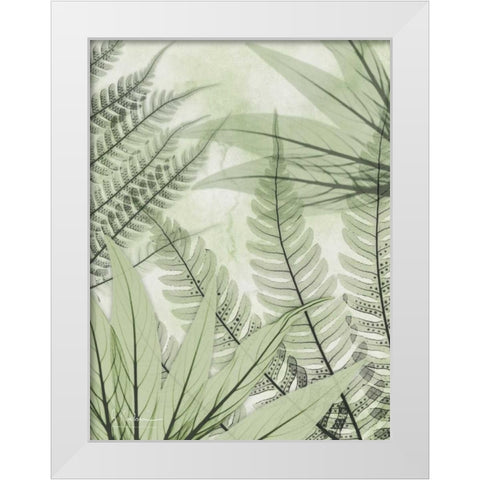 Prehistoric Awakening White Modern Wood Framed Art Print by Koetsier, Albert