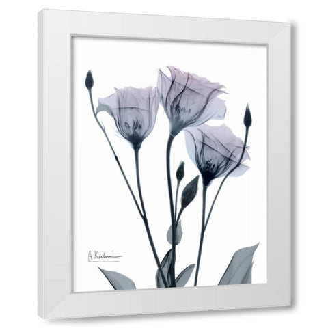 Midnight Gentian 1 White Modern Wood Framed Art Print by Koetsier, Albert