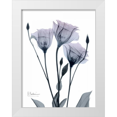 Midnight Gentian 1 White Modern Wood Framed Art Print by Koetsier, Albert