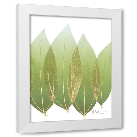 Golden Coculus White Modern Wood Framed Art Print by Koetsier, Albert