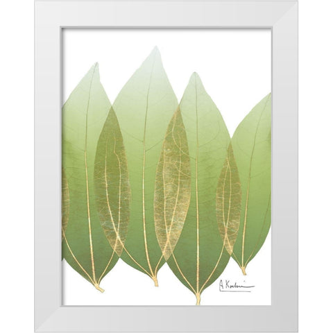 Golden Coculus White Modern Wood Framed Art Print by Koetsier, Albert