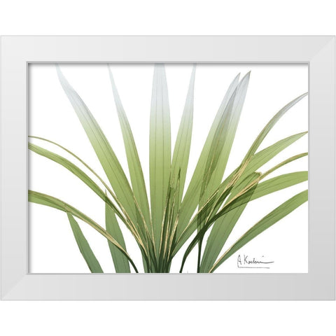 Golden Palm White Modern Wood Framed Art Print by Koetsier, Albert