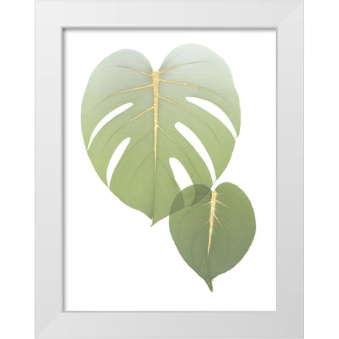 Golden Philodendron White Modern Wood Framed Art Print by Koetsier, Albert