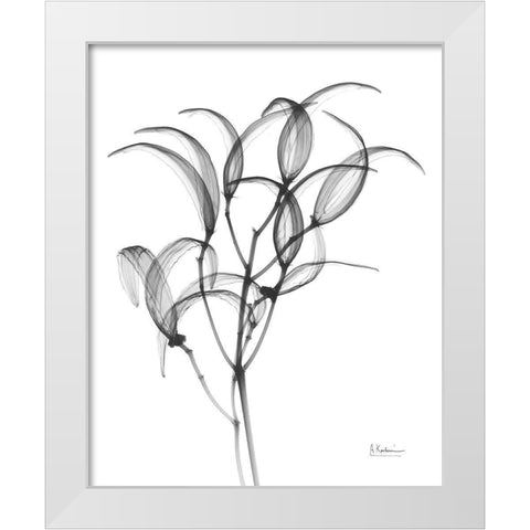 Nightly Oleander Bush White Modern Wood Framed Art Print by Koetsier, Albert