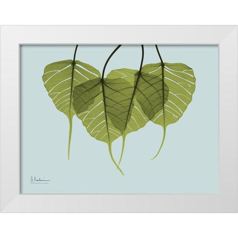 Bodhi Tree Quartet White Modern Wood Framed Art Print by Koetsier, Albert