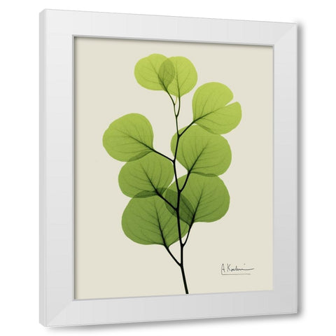 Natural Greenery 4 White Modern Wood Framed Art Print by Koetsier, Albert
