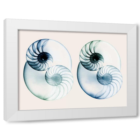 Split Breeze 2 White Modern Wood Framed Art Print by Koetsier, Albert