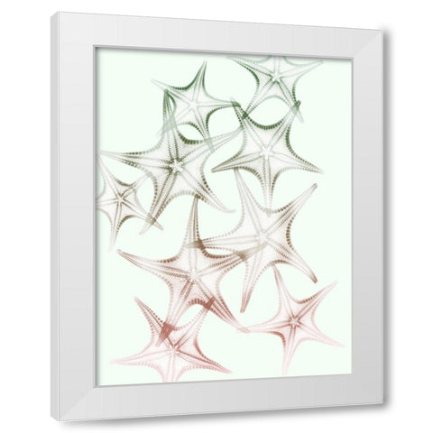 Sweet Starfish 2 White Modern Wood Framed Art Print by Koetsier, Albert