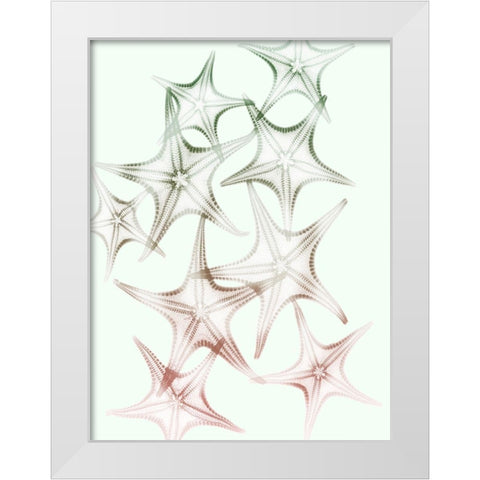 Sweet Starfish 2 White Modern Wood Framed Art Print by Koetsier, Albert