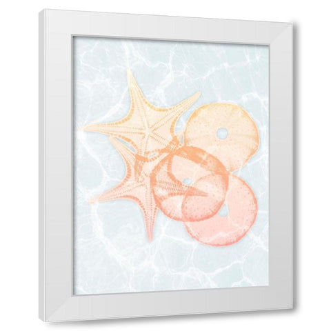 Starfish Shine White Modern Wood Framed Art Print by Koetsier, Albert