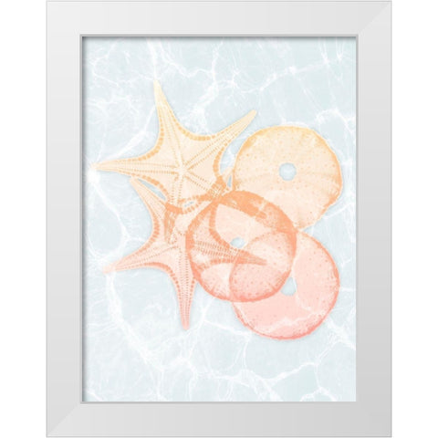 Starfish Shine White Modern Wood Framed Art Print by Koetsier, Albert