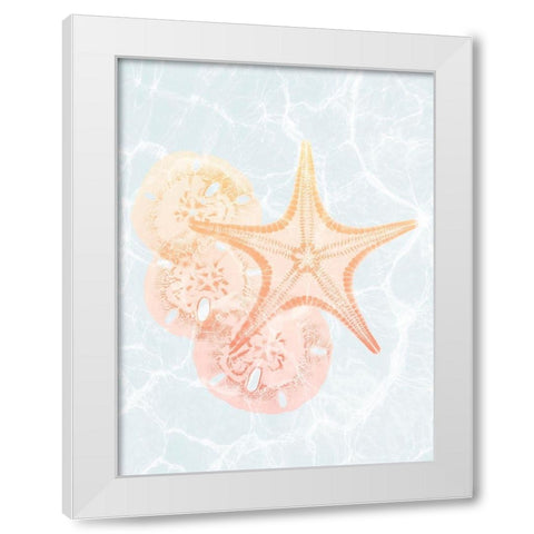 Starfish Shine 2 White Modern Wood Framed Art Print by Koetsier, Albert