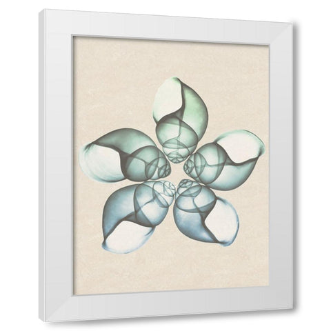 Daybreak Star 2 White Modern Wood Framed Art Print by Koetsier, Albert