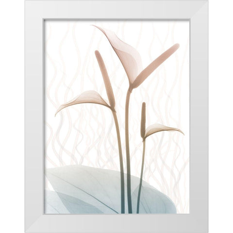 Toned Dawn 1 White Modern Wood Framed Art Print by Koetsier, Albert