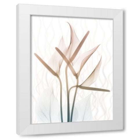 Toned Dawn 2 White Modern Wood Framed Art Print by Koetsier, Albert