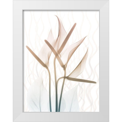 Toned Dawn 2 White Modern Wood Framed Art Print by Koetsier, Albert