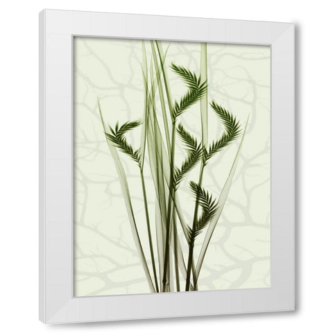 Toned Greens 1 White Modern Wood Framed Art Print by Koetsier, Albert