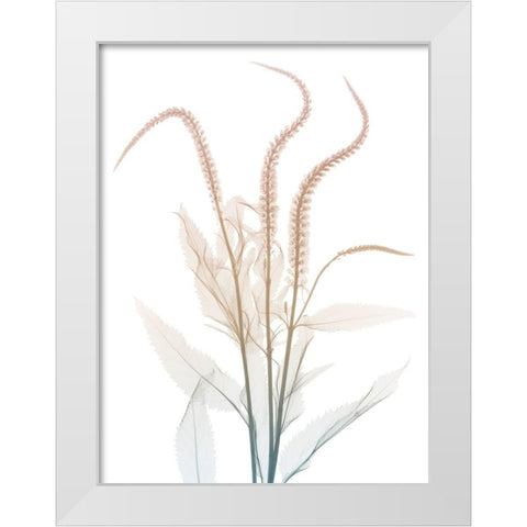 Neutral Dawn 2 White Modern Wood Framed Art Print by Koetsier, Albert