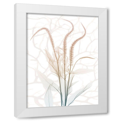 Toned Dawn 4 White Modern Wood Framed Art Print by Koetsier, Albert