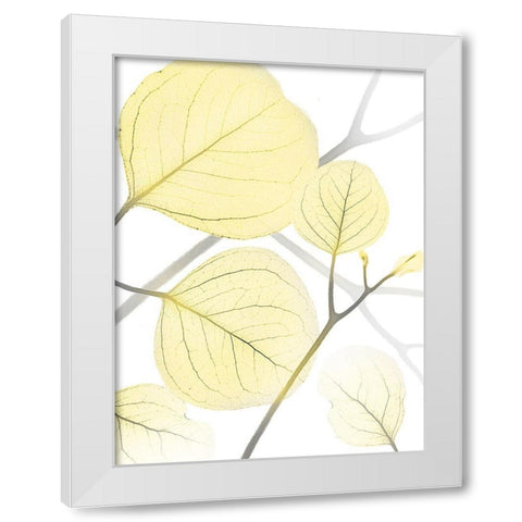 Illuminated Eternity 1 White Modern Wood Framed Art Print by Koetsier, Albert