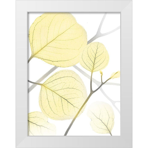 Illuminated Eternity 1 White Modern Wood Framed Art Print by Koetsier, Albert