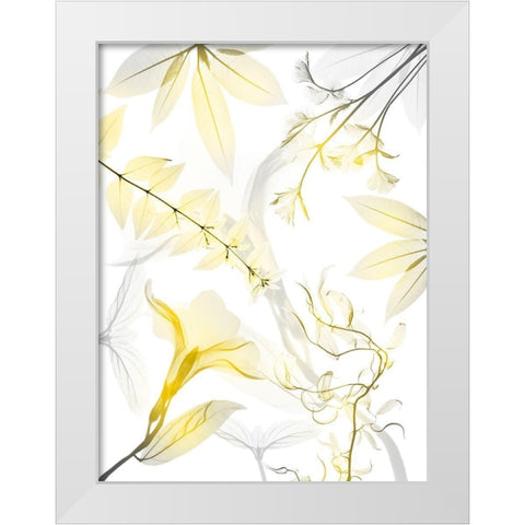 Reaching Brightness 1 White Modern Wood Framed Art Print by Koetsier, Albert