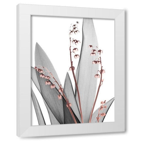 Lily of the Blush 1 White Modern Wood Framed Art Print by Koetsier, Albert