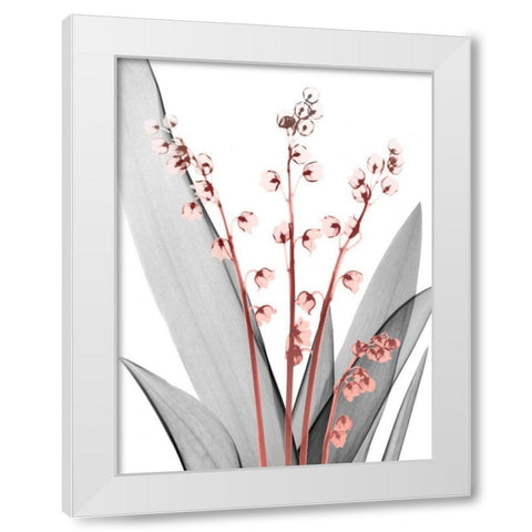 Lily of the Blush 2 White Modern Wood Framed Art Print by Koetsier, Albert