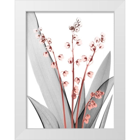 Lily of the Blush 2 White Modern Wood Framed Art Print by Koetsier, Albert