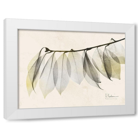 Sunkissed Camelia Leaf White Modern Wood Framed Art Print by Koetsier, Albert