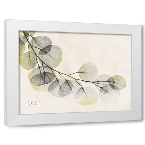 Sunkissed Eucalyptus White Modern Wood Framed Art Print by Koetsier, Albert