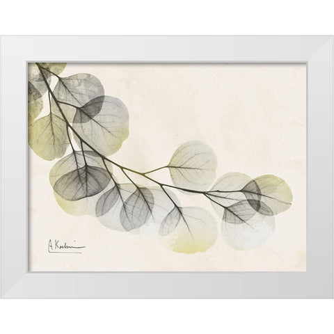 Sunkissed Eucalyptus White Modern Wood Framed Art Print by Koetsier, Albert