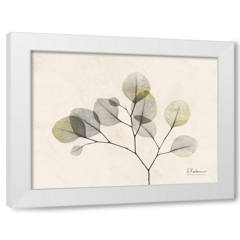 Sunkissed Eucalyptus 2 White Modern Wood Framed Art Print by Koetsier, Albert