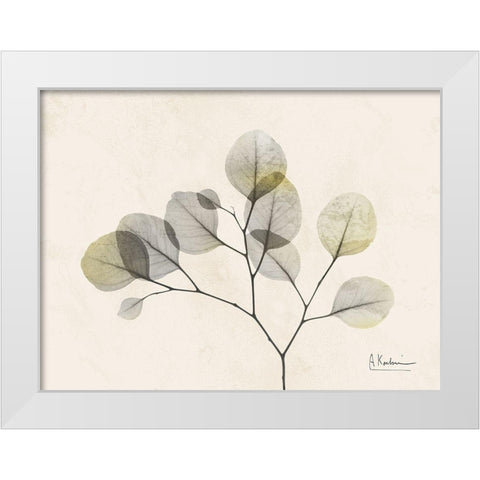 Sunkissed Eucalyptus 2 White Modern Wood Framed Art Print by Koetsier, Albert