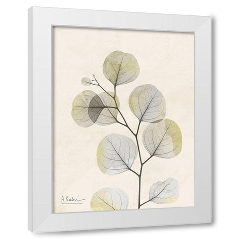 Sunkissed Eucalyptus 3 White Modern Wood Framed Art Print by Koetsier, Albert