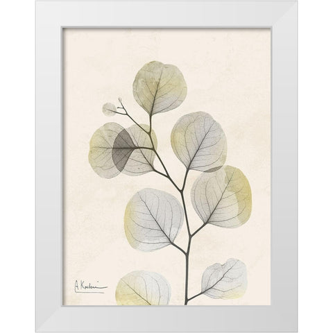 Sunkissed Eucalyptus 3 White Modern Wood Framed Art Print by Koetsier, Albert