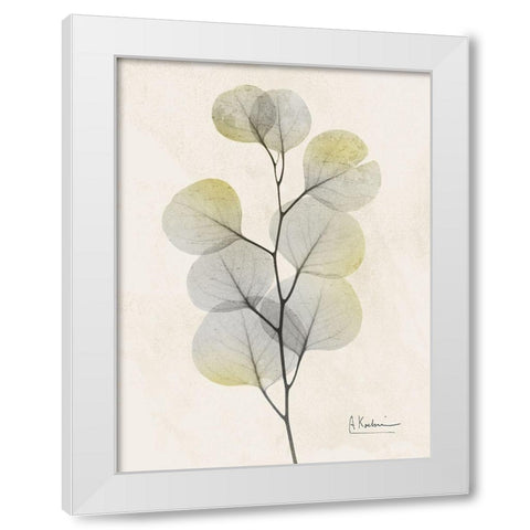 Sunkissed Eucalyptus 4 White Modern Wood Framed Art Print by Koetsier, Albert