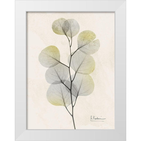 Sunkissed Eucalyptus 4 White Modern Wood Framed Art Print by Koetsier, Albert