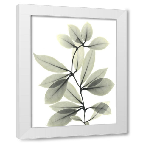 Skybound 2 White Modern Wood Framed Art Print by Koetsier, Albert