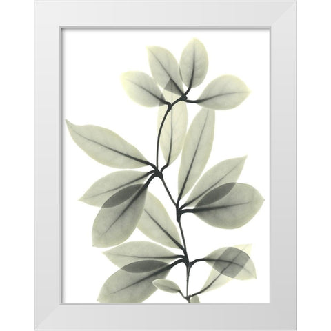 Skybound 2 White Modern Wood Framed Art Print by Koetsier, Albert