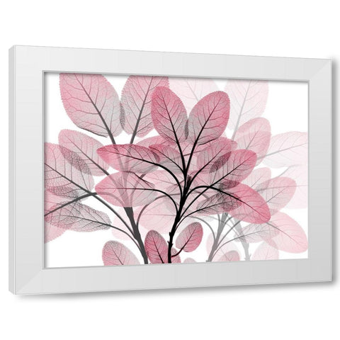 Magenta Embrace 1 White Modern Wood Framed Art Print by Koetsier, Albert