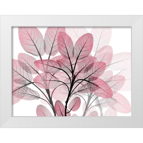 Magenta Embrace 1 White Modern Wood Framed Art Print by Koetsier, Albert