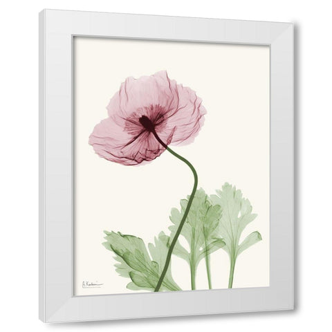 Dazzling Poppy 2 White Modern Wood Framed Art Print by Koetsier, Albert