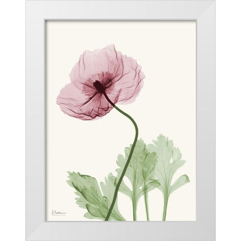 Dazzling Poppy 2 White Modern Wood Framed Art Print by Koetsier, Albert