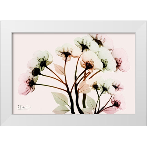 Vibrant Shine White Modern Wood Framed Art Print by Koetsier, Albert