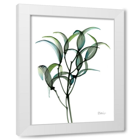 Shimmering Botanical 1 White Modern Wood Framed Art Print by Koetsier, Albert
