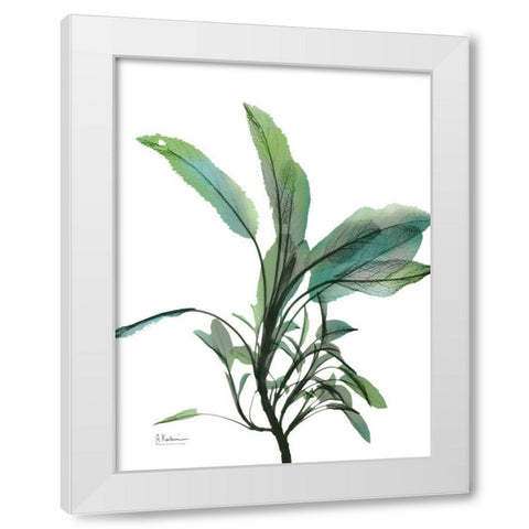 Shimmering Botanical 2 White Modern Wood Framed Art Print by Koetsier, Albert