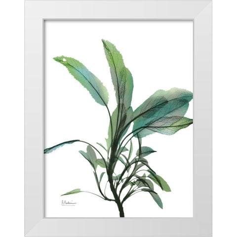 Shimmering Botanical 2 White Modern Wood Framed Art Print by Koetsier, Albert