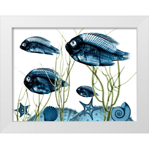 Aquatic Home 2 White Modern Wood Framed Art Print by Koetsier, Albert